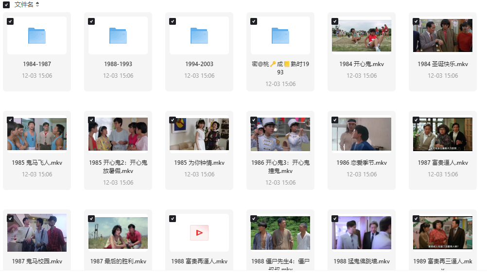李丽珍电影-小武站